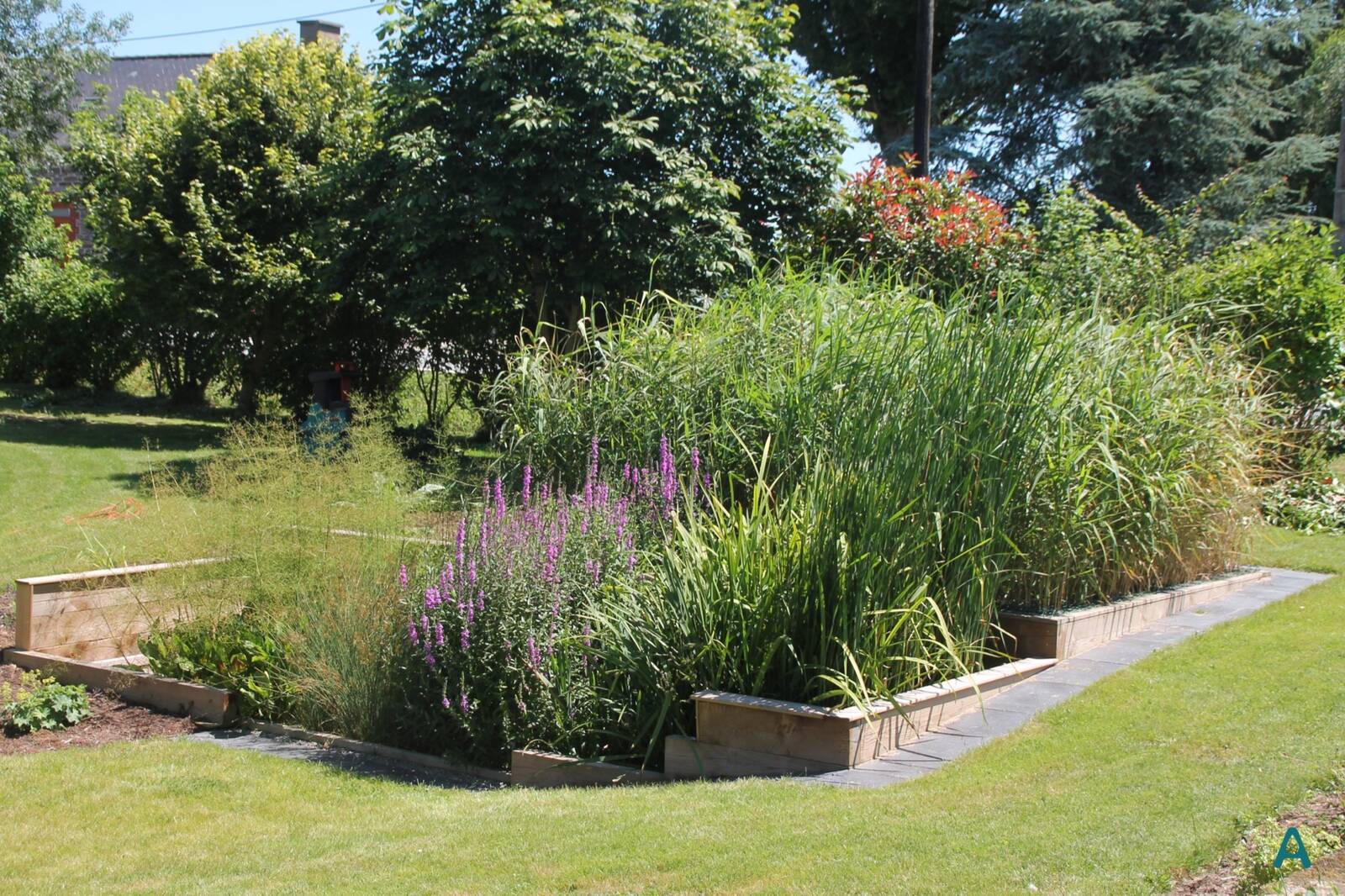 Entretien simple de type jardinage